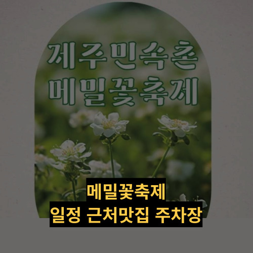 제주민속촌 메밀꽃축제 일정 체험행사 즐길거리 근처 맛집 주차 정보