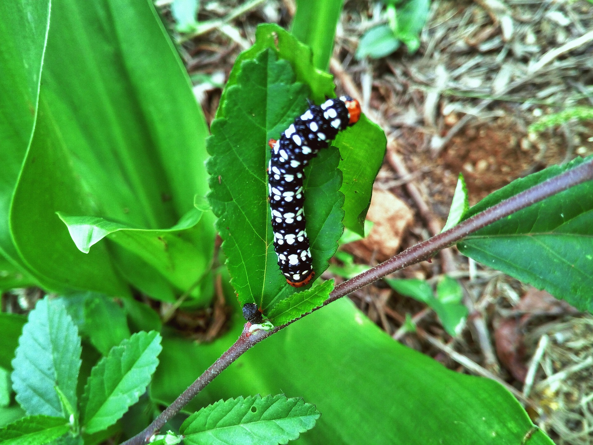 속이 더부룩할 때 위 문제인지 장 문제인지 구분하는 법