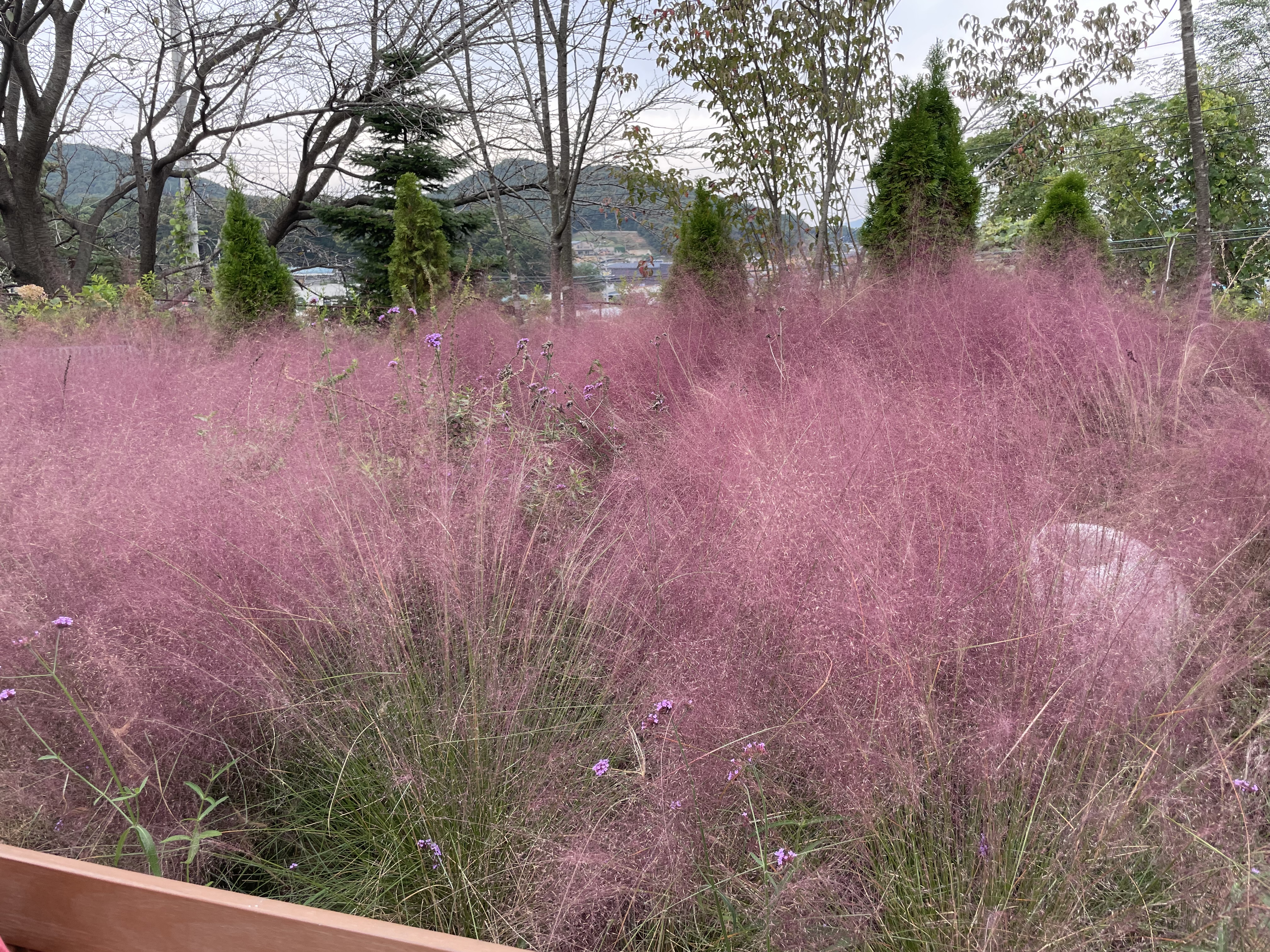 김포 한강뷰 대형카페 아보고가