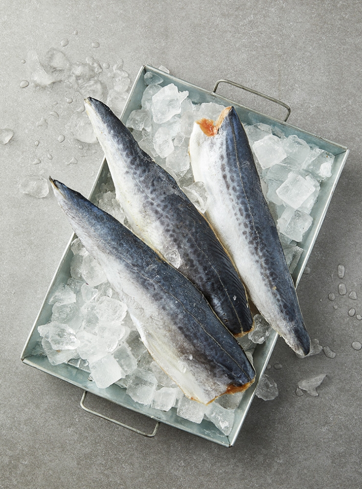 삼치의 효능 및 부작용