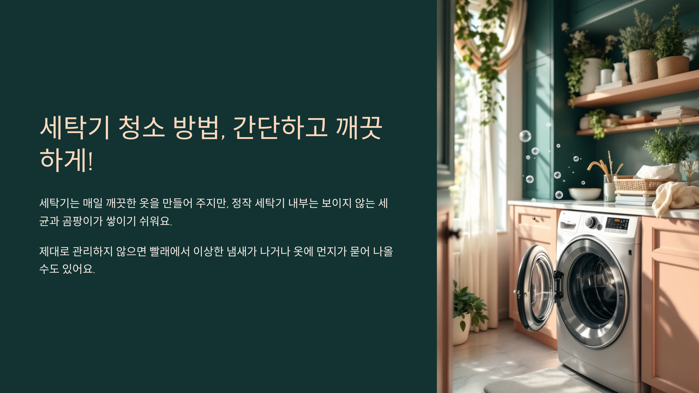 세탁기 청소 방법, 간단하고 깨끗하게!