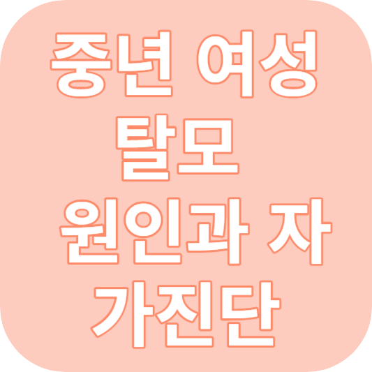 중년 여성 탈모