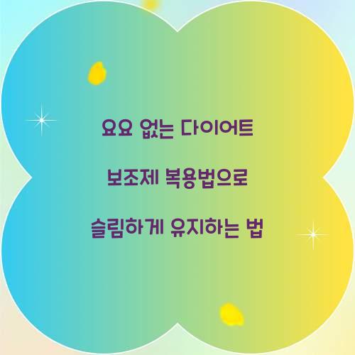 요요 없는 다이어트 보조제 복용법