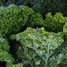 만성 췌장염에 좋은 음식 영양제 식단