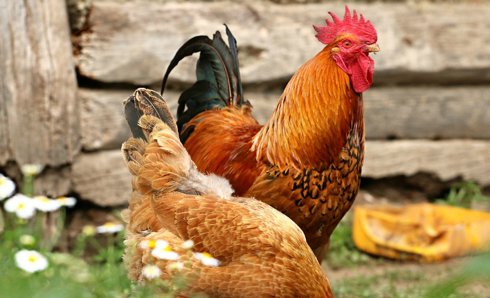 띠별 운세 10월 27일