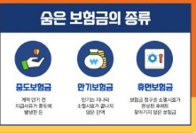 보험금 찾기