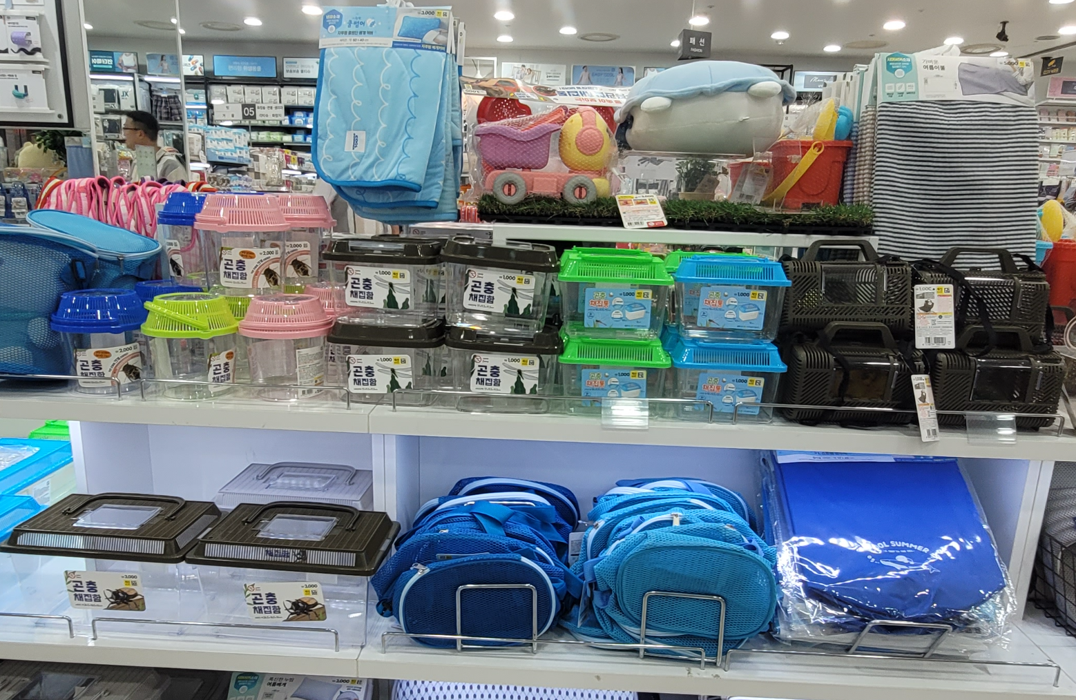 곤충채집함