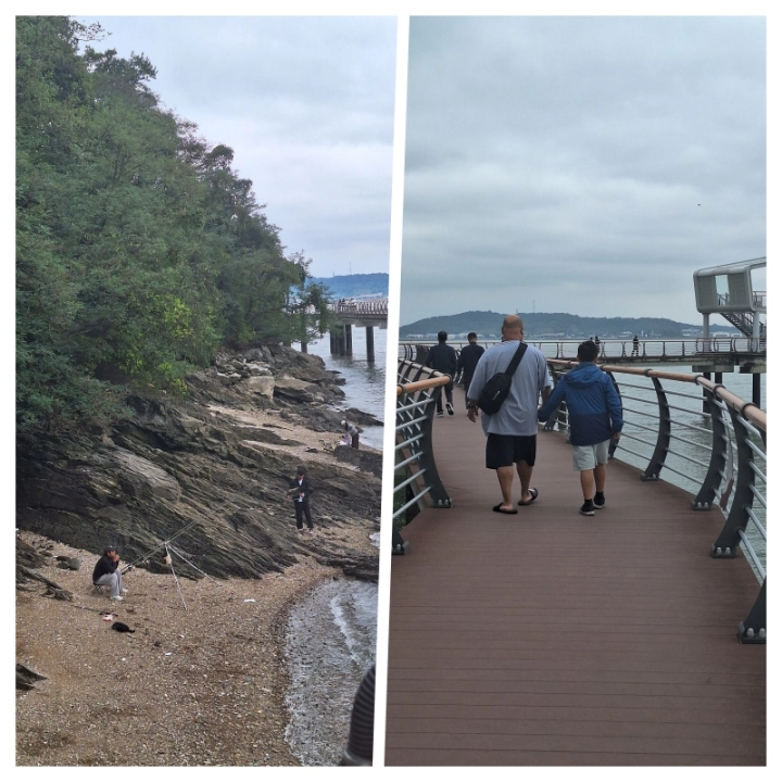 한진포구-전망대-해안데크길