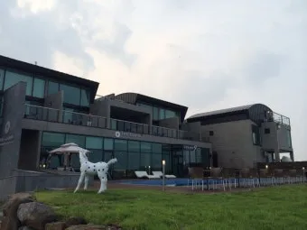 제주 더클라우드호텔 후기 수영장 있는 가성비 숙소 추천_2