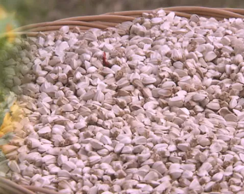 무릎-관절에-좋은-음식-건강