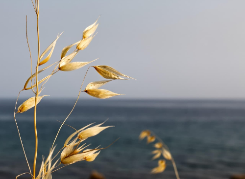 “피곤한 이유, 혹시 지방간? 초기증상·ALT·AST 쉽게 이해하기”