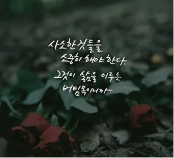 인기 많은 인생 명언 짧은글 100선_18