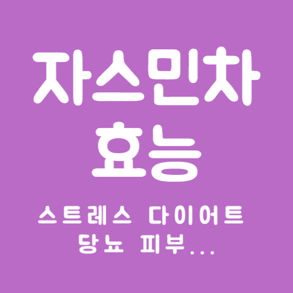 자스민차 효능