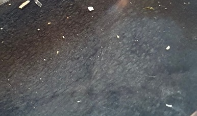 침구청소기 사용 후 먼지통 먼지 결과