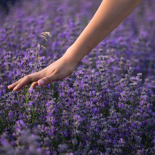 손톱 검은 세로줄