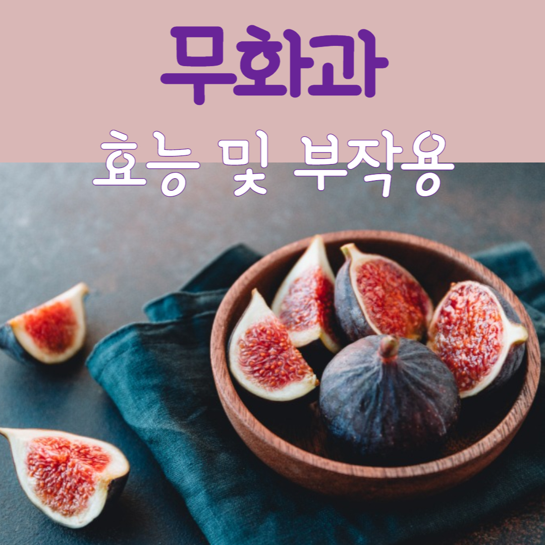 무화과 효능 부작용