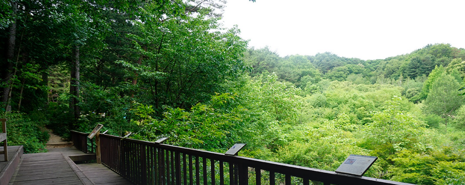 평강랜드 평강식물원