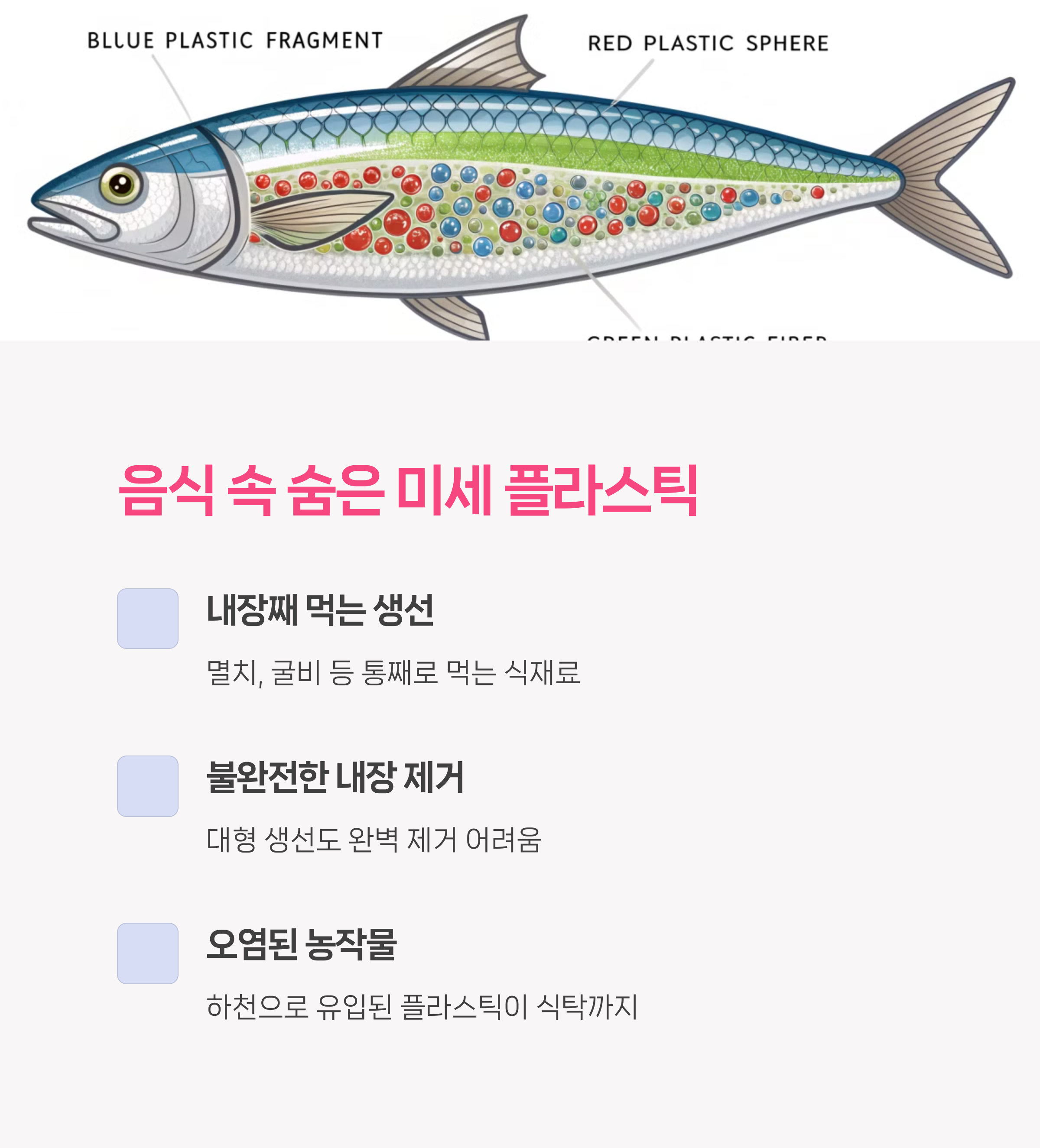 음식 속 미세 플라스틱의 정체