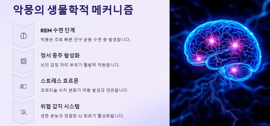 악몽을 자주 꾸는 이유, 악몽을 꾸는 이유, 악몽꿈 유형