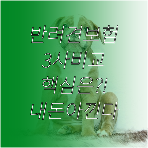반려견 보험 삼성화재 메리츠 DB 차..