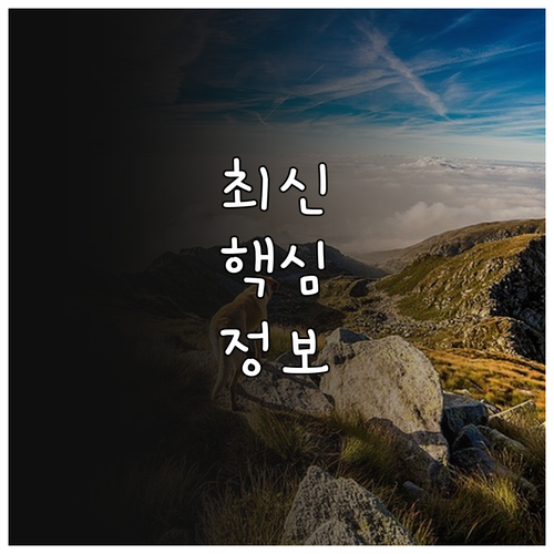 당신을 위한 2025 부천시 교통약자..