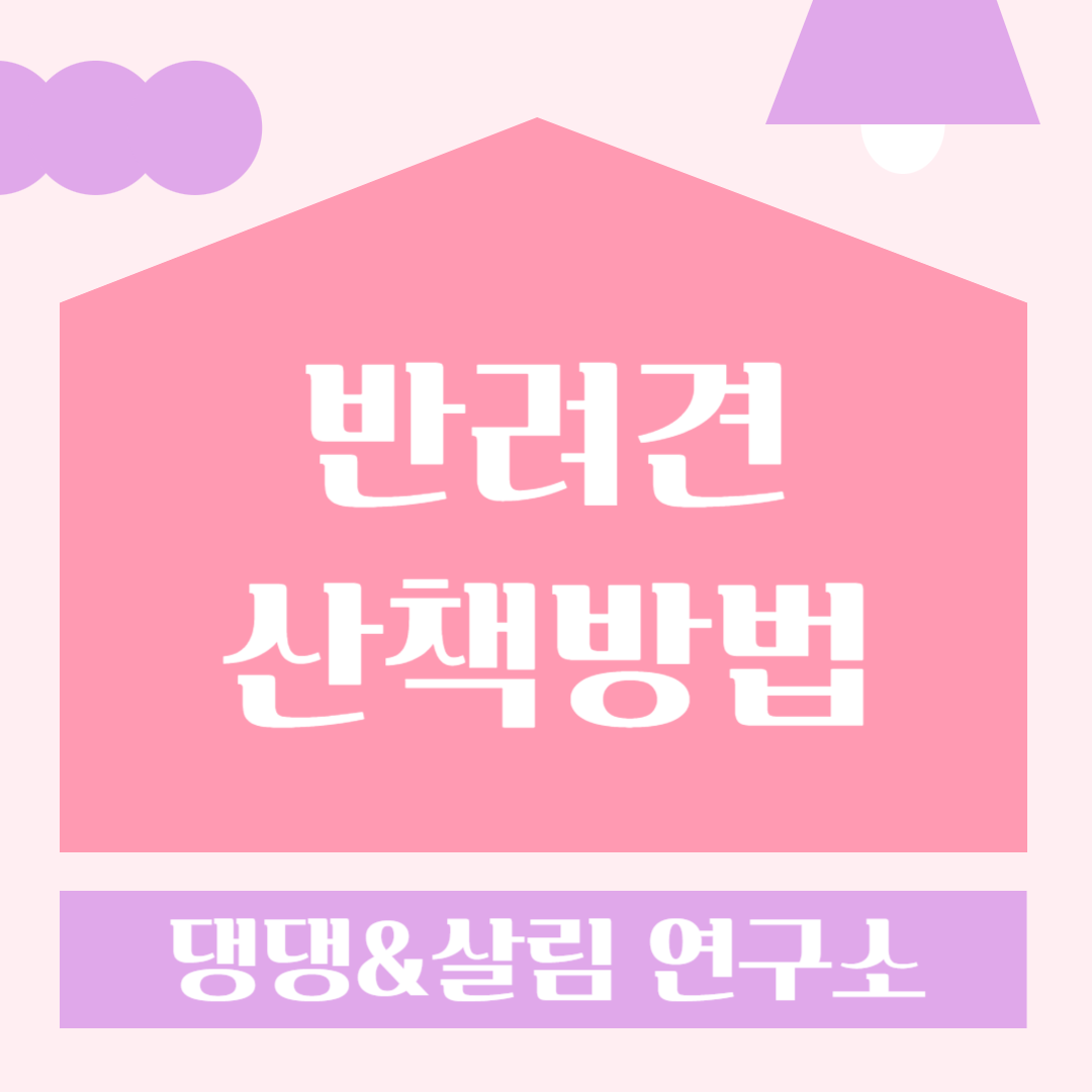 반려견산책