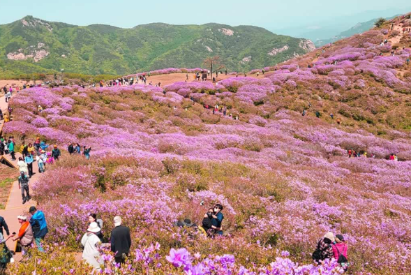 5월 국내여행지 베스트