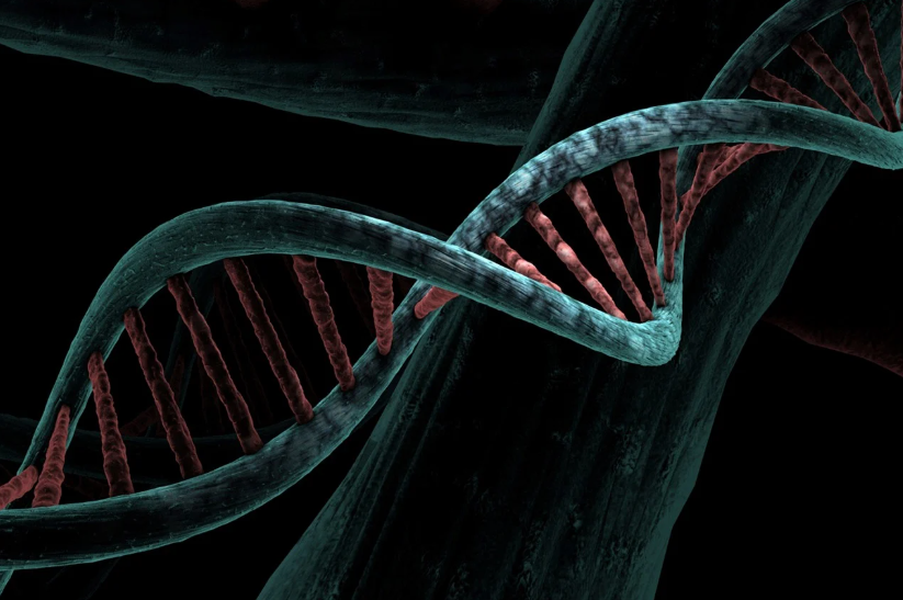 유기구조분석: 유기 화합물의 구조를 밝히는 핵심 기술