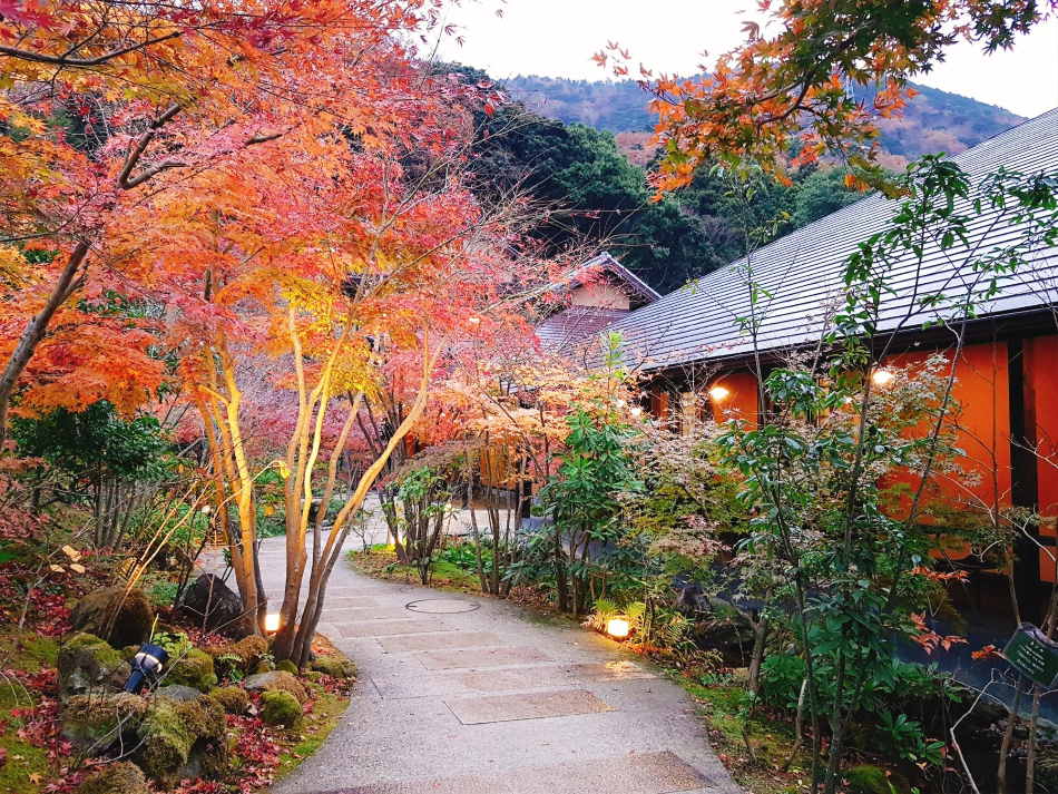 하코네 유료온천 정원