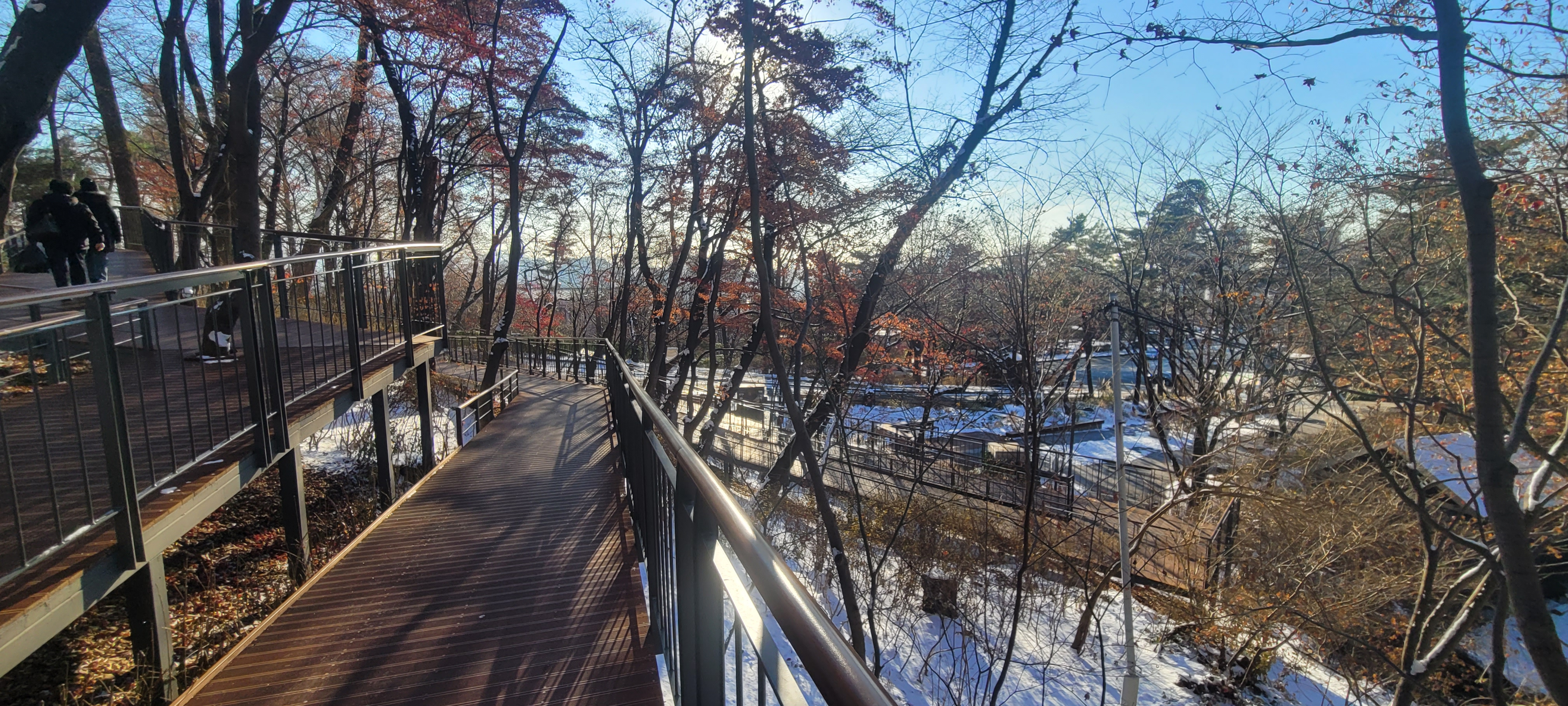 ▲ 남산 하늘숲길