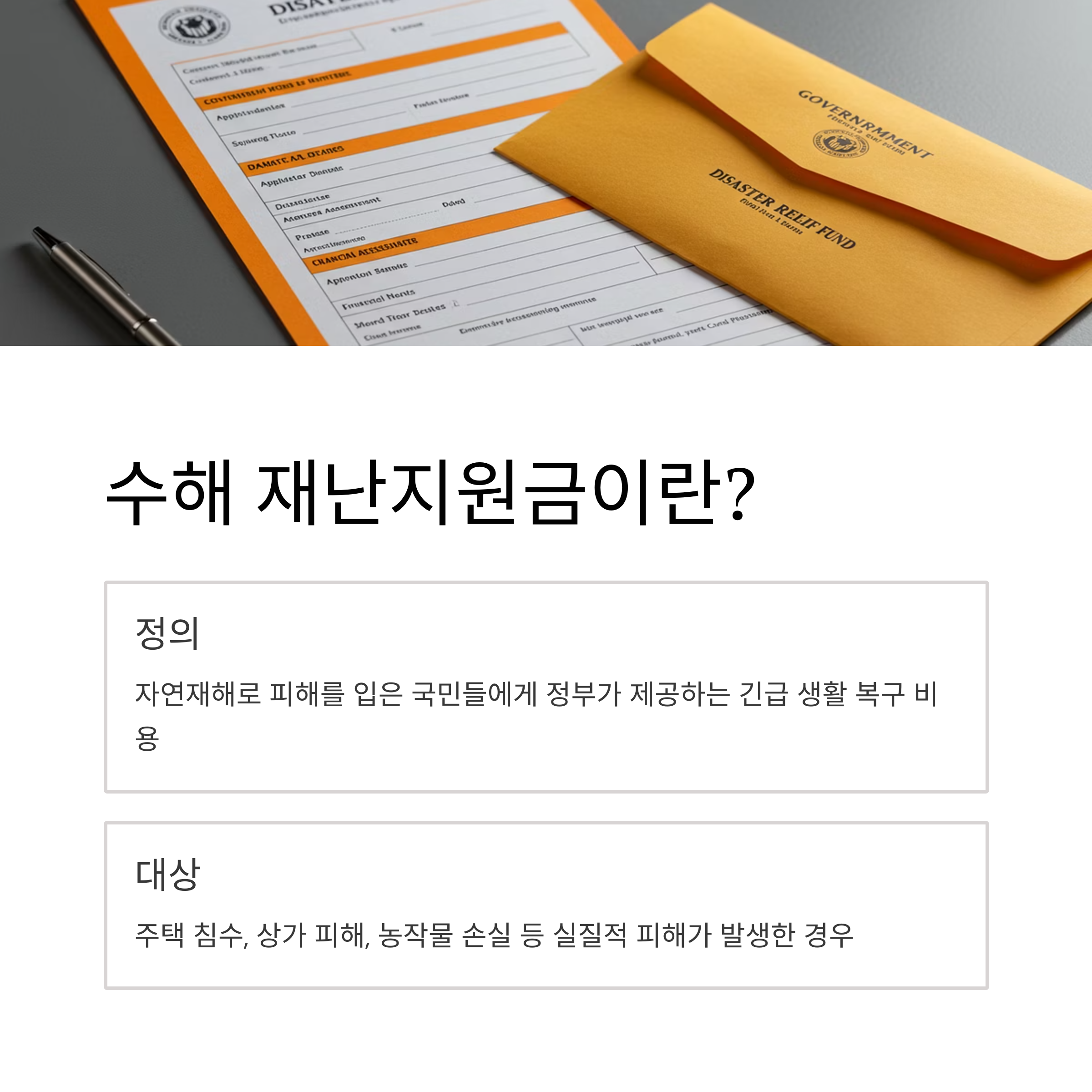 2025 재난지원금 수해