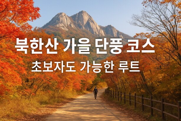 서울 근교 단풍 명소! 북한산 단풍 절정 시기 & 초보자 추천 코스 3선