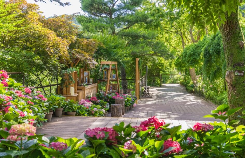 화담숲 모노레일 예약 꿀팁