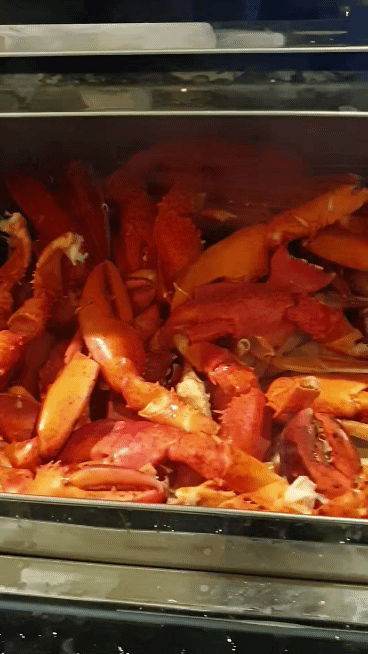 김이-모락모락-나는-대게와-랍스터