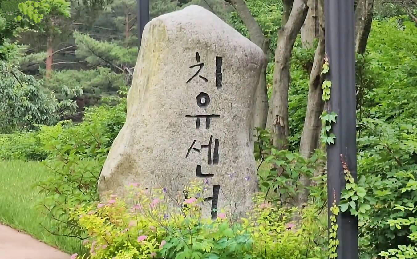 삼척 활기 치유의 숲