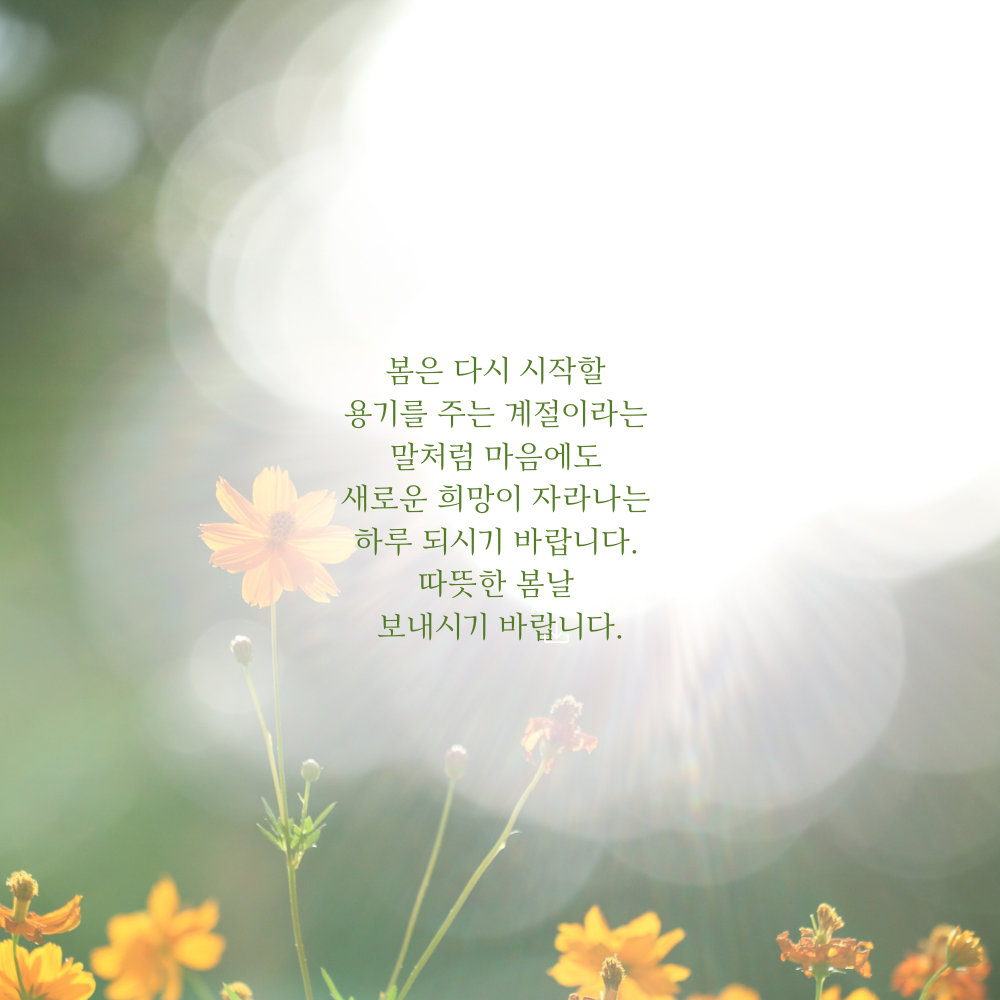 춘분 인사말 봄 안부 인사글귀 좋은 3월 인사이미지 문구 모음