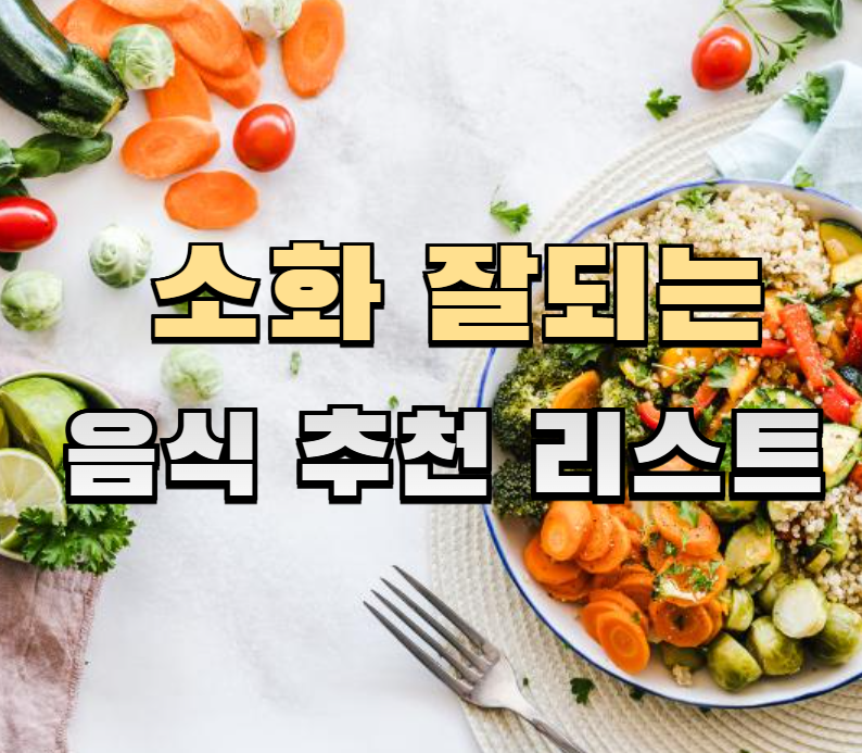 소화잘되는음식,소화불량,건강식단,위장건강,유산균,소화효소제,더부룩함해소,식이섬유,소화습관,장건강