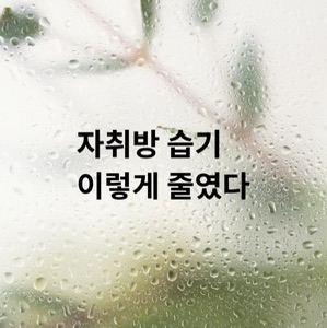 장마철 자취방 습기 제거 방법과 관리 팁
