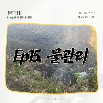 농사 물 관리 비가림 설치 배수로 정비 가뭄 대비 빗물 저장_16