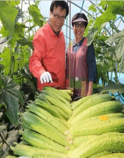 봉황52 농촌 체험 치유농장