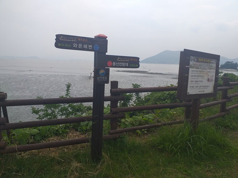 하루만보걷기