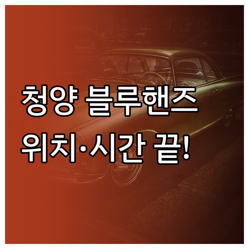 청양군 현대자동차 블루핸즈 위치와 연..