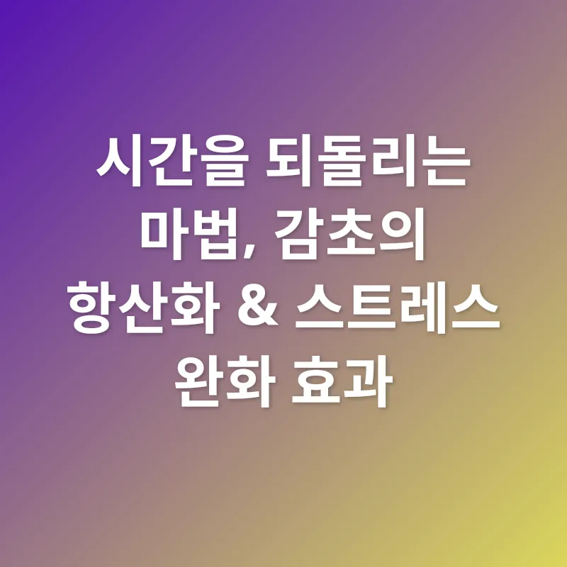 감초 효능_2