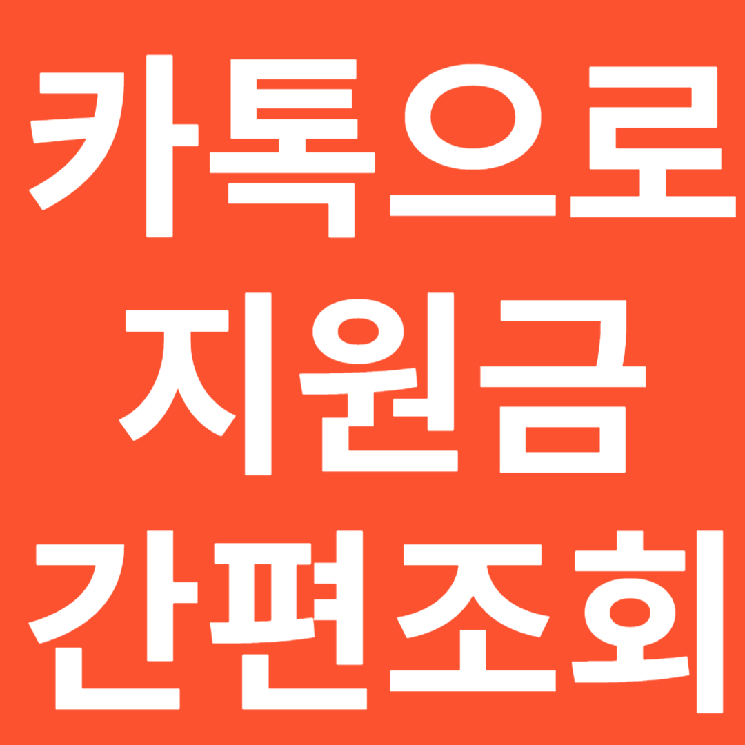 카톡 정부지원금 조회