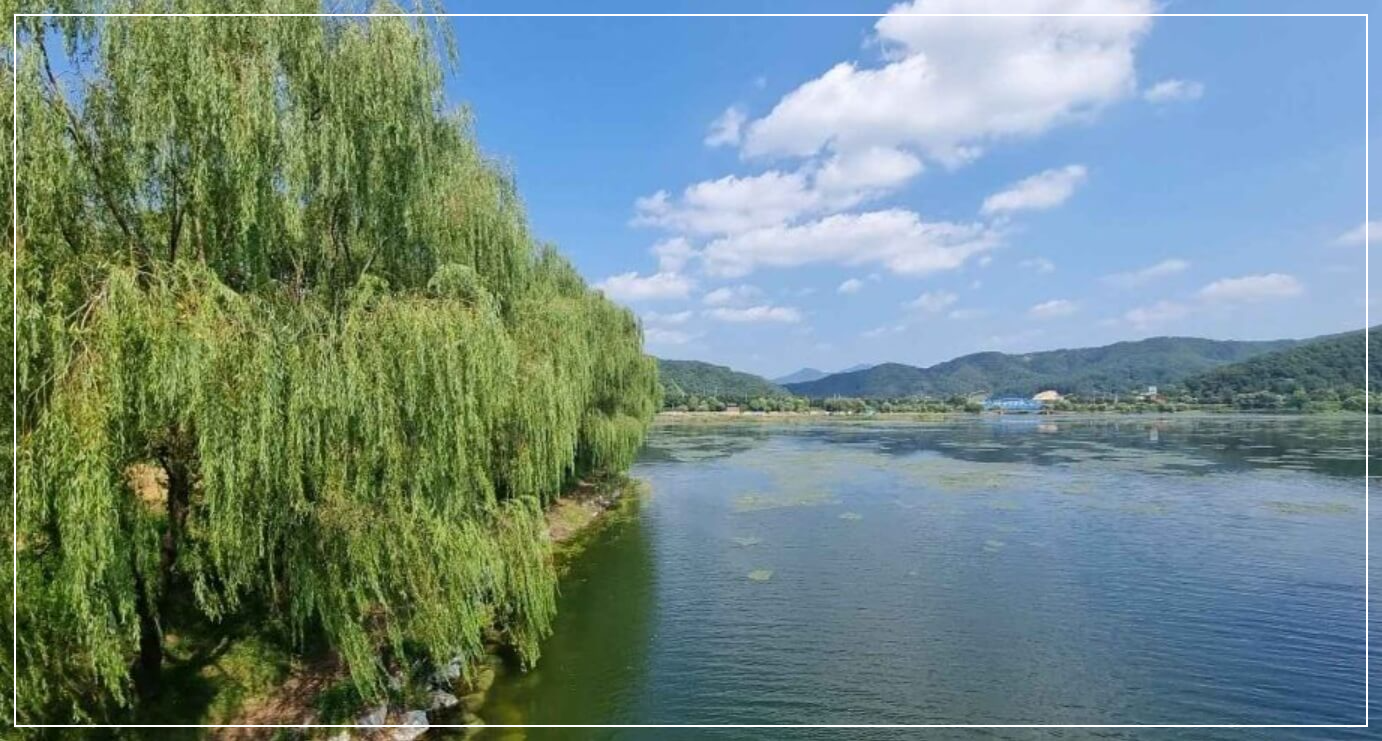 양구 가볼만한곳 베스트10 한반도섬