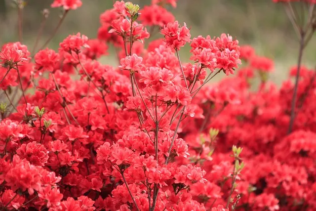 포항역 ktx 기차시간표 요금표 예매_9