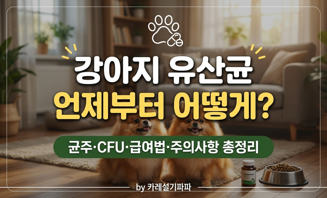포메 유산균 썸네일