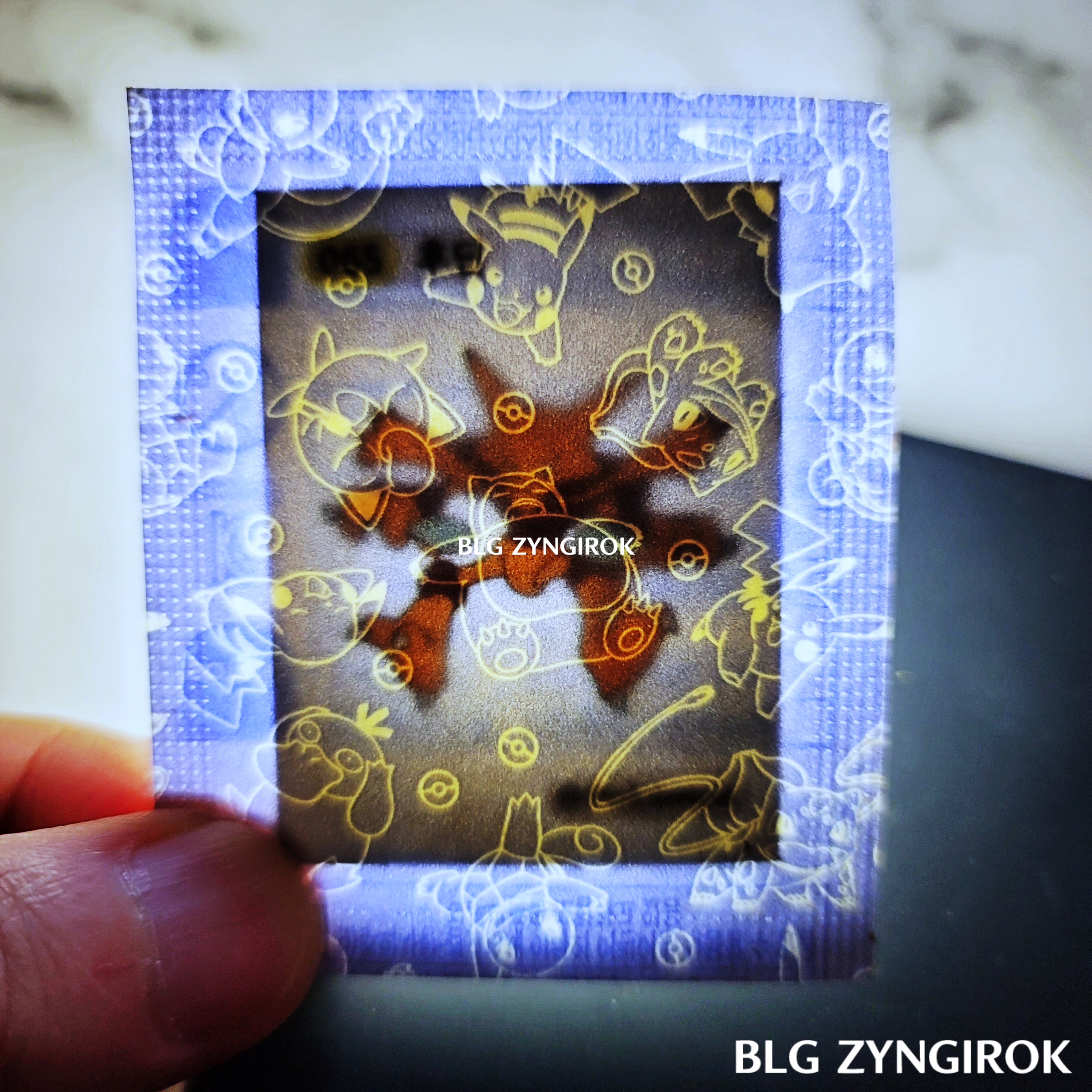 띠부띠부씰-후딘을-들고있다.