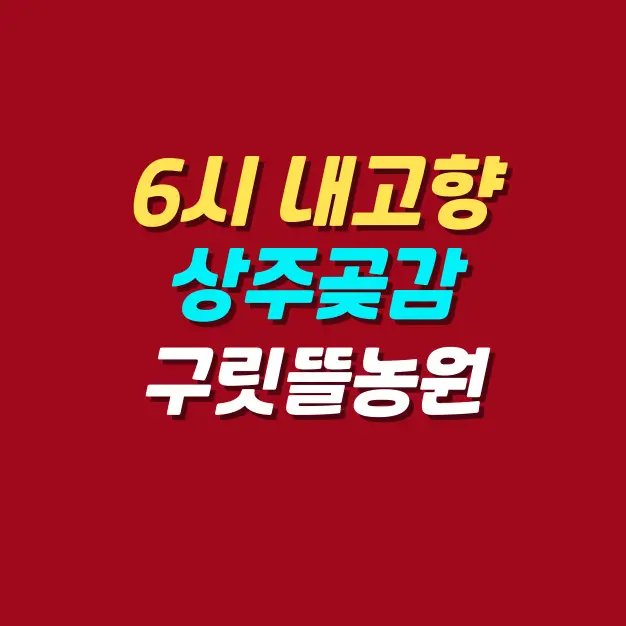 6시-내고향-상주곶감-맛집