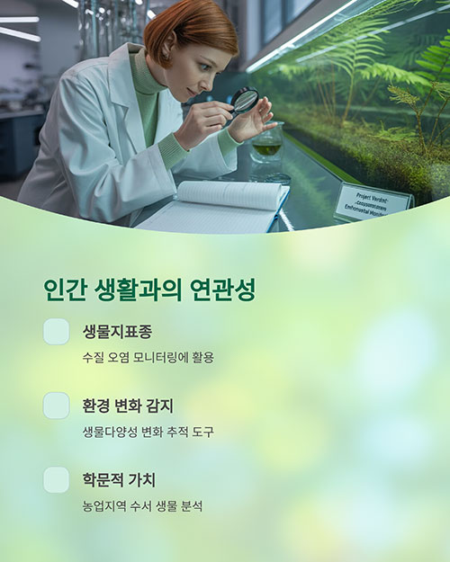 물땡땡이와 인간 생활의 연관성